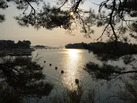 松島海岸駅の写真・動画_image_225327