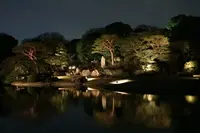 六義園の写真・動画_image_225623