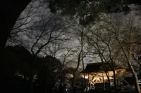 六義園の写真・動画_image_225624