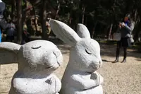 出雲大社の写真・動画_image_225708