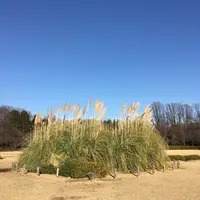 神代植物公園の写真・動画_image_225963