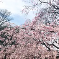六義園の写真・動画_image_226403
