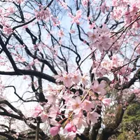 六義園の写真・動画_image_226405