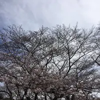 代々木公園の写真・動画_image_226465