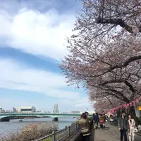 隅田公園の写真・動画_image_226553