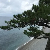 桂浜の写真・動画_image_226720