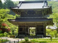 林泉寺の写真・動画_image_227059