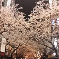 八重洲の写真・動画_image_227409