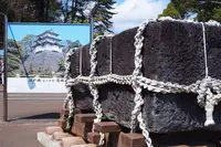 伊豆高原駅 伊豆急行の写真・動画_image_227507