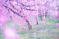 名古屋市農業センターの写真・動画_image_227547