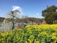 名古屋市農業センターの写真・動画_image_227548