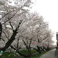 五条川の写真・動画_image_227653