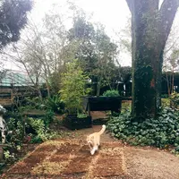 waletの写真・動画_image_227929