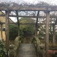 出島の写真・動画_image_227945