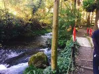 白川水源の写真・動画_image_227951