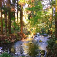 白川水源の写真・動画_image_227954