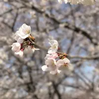 さいたま市　市民の森の写真・動画_image_227963