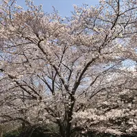 さいたま市　市民の森の写真・動画_image_227966