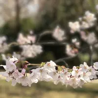 さいたま市　市民の森の写真・動画_image_227967