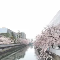 コトリパンの写真・動画_image_227978