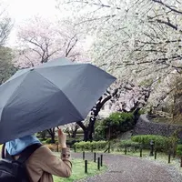 港の見える丘公園の写真・動画_image_227986