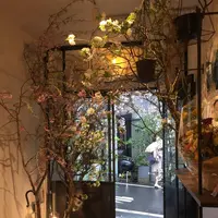 YES TOKYOの写真・動画_image_228036