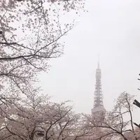 芝公園の写真・動画_image_228108