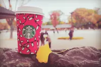 スターバックスコーヒー 上野恩賜公園店（STARBUCKS COFFEE）の写真・動画_image_228222