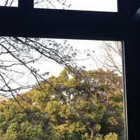 しょうゆきゃふぇ 元町の写真・動画_image_228317