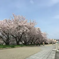 牧野ヶ池緑地の写真・動画_image_228322