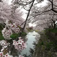 幡山保育園の写真・動画_image_228323