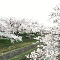幡山保育園の写真・動画_image_228324