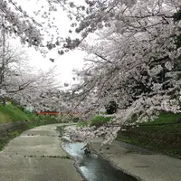 幡山保育園の写真・動画_image_228326