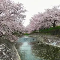 幡山保育園の写真・動画_image_228329