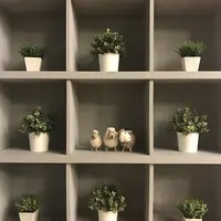 24"7の写真・動画_image_228366