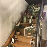 24"7の写真・動画_image_228368