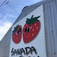澤田農園の写真・動画_image_228421