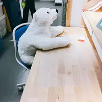 IKEA 港北店の写真・動画_image_228560