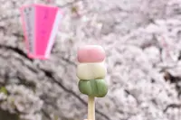 目黒川の写真・動画_image_228621