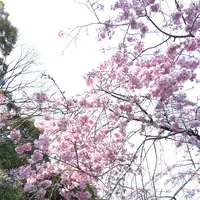 定光寺公園の写真・動画_image_228859