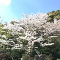 定光寺公園の写真・動画_image_228860