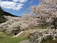 定光寺公園の写真・動画_image_228861