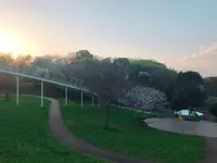 神奈川県立茅ヶ崎里山公園の写真・動画_image_228869