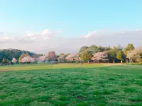 神奈川県立茅ヶ崎里山公園の写真・動画_image_228870