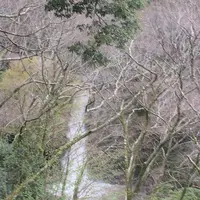 小田原城の写真・動画_image_229093
