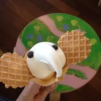 象の鼻カフェの写真・動画_image_229310