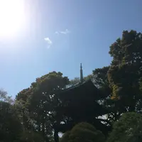 ロビーラウンジ ル・ジャルダンの写真・動画_image_229501