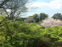 ロビーラウンジ ル・ジャルダンの写真・動画_image_229502