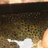 東府やベーカリー＆カフェの写真・動画_image_229512