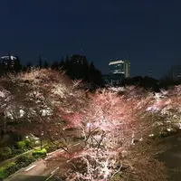 東京ミッドタウンの写真・動画_image_229656